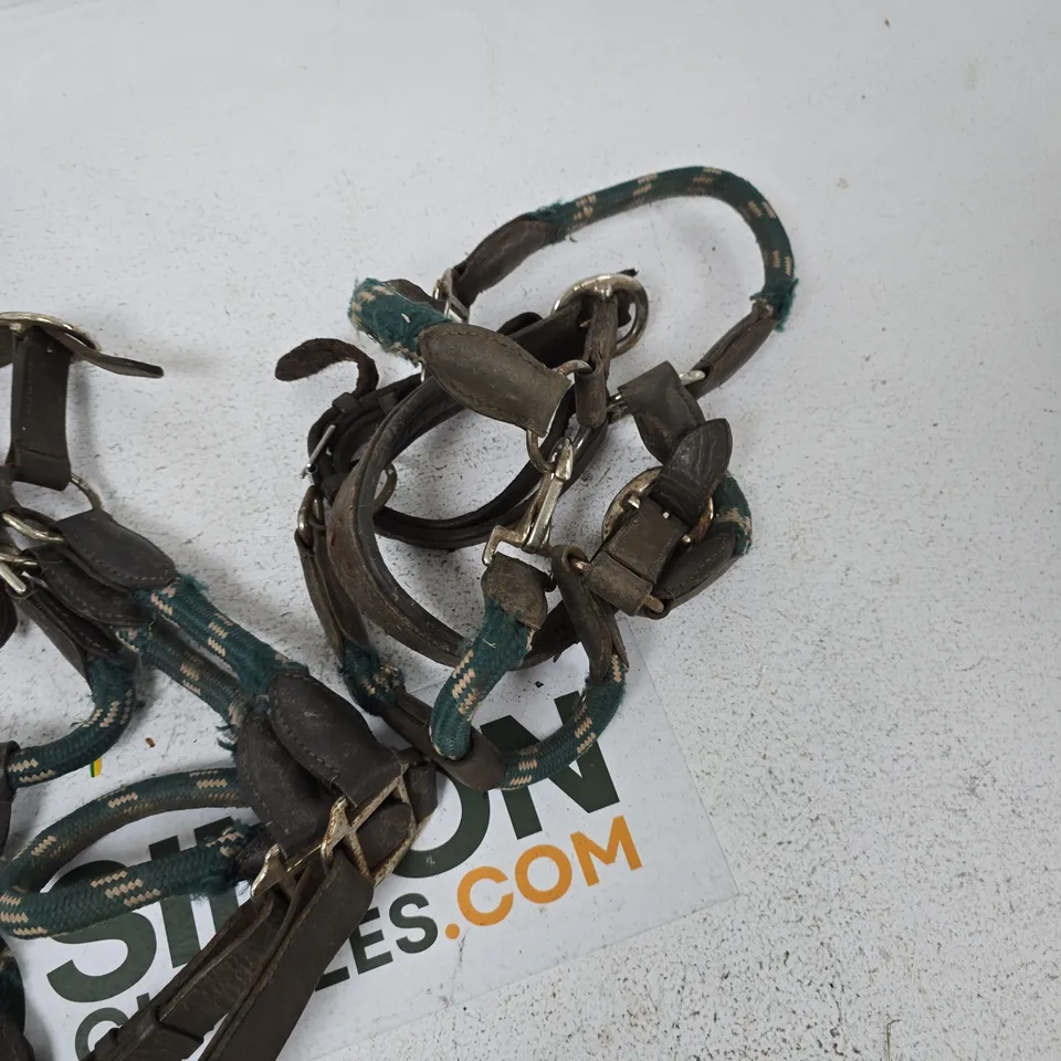 HORSE TACK: LEATHER BRIDLE AND REINS SET WITH GREEN BRAIDED STRAPS (USED)