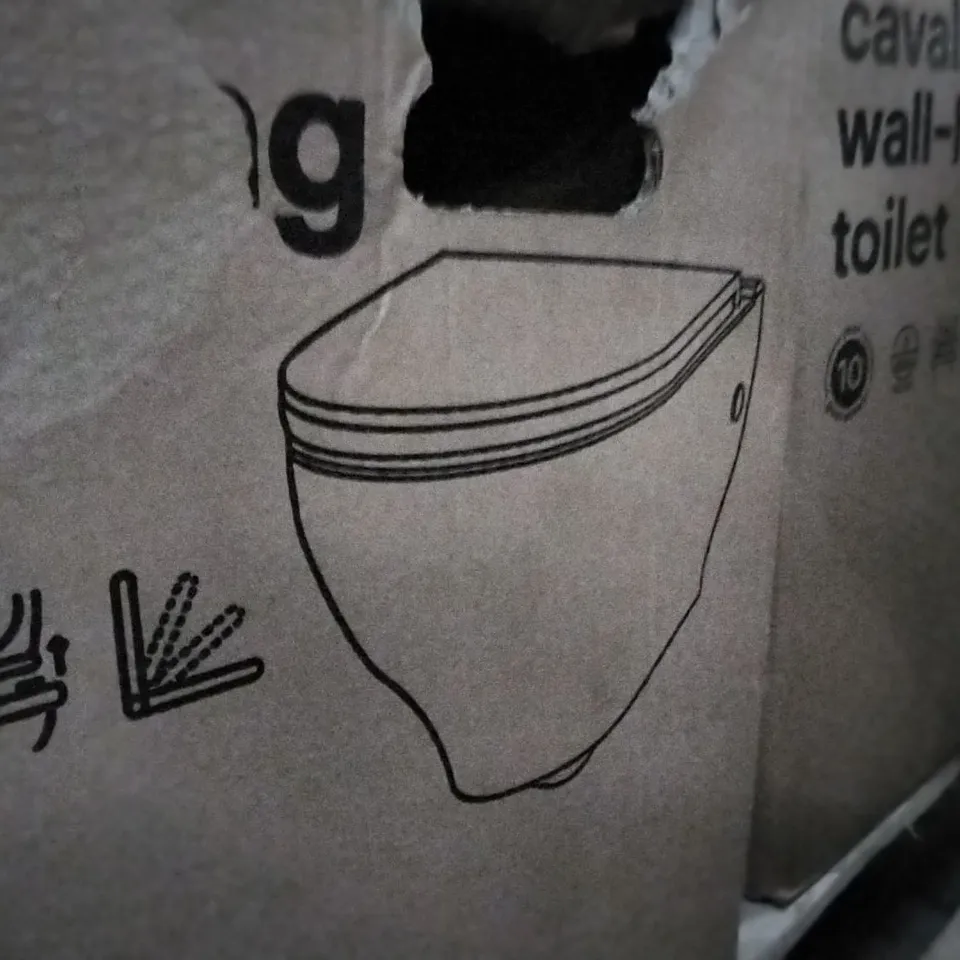 BOXED CAVALLY WALL-HUNG TOILET 