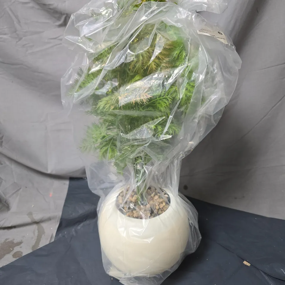 PLANT IN POT, ORNAMENT. BOXED