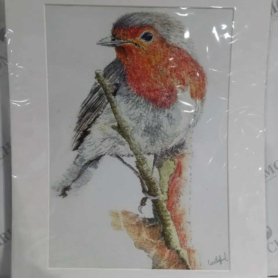 SIGNED ROBIN ILLUSTRATION