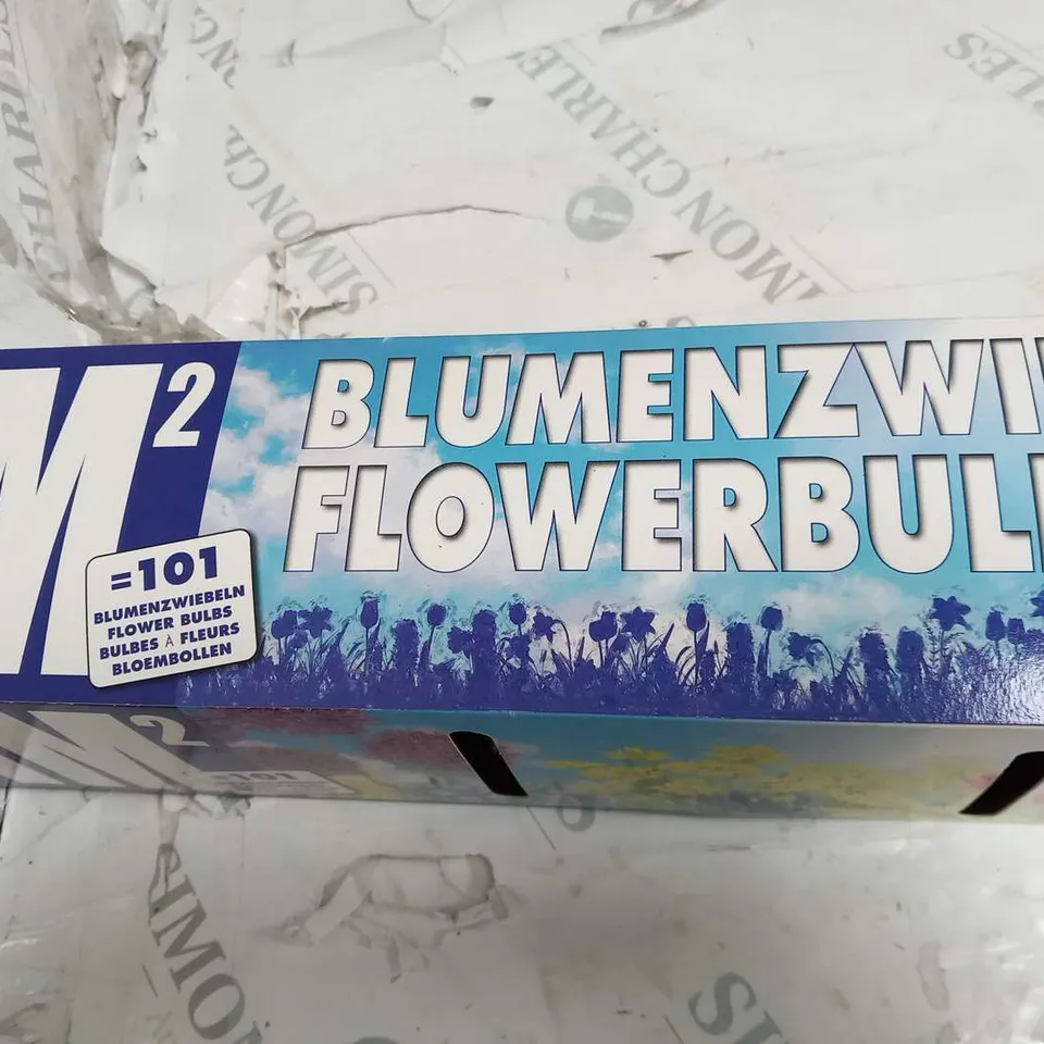 APPROXIMATELY 8 BOXED 1MSQ FLOWERBULBS EACH BOX CONSISTING 101 BULBS TO INCLUDE; ALLIUM, IRIS, CHIONDOXA, TULIPA, NARCISSUS, MUSCARI AND CROCUS