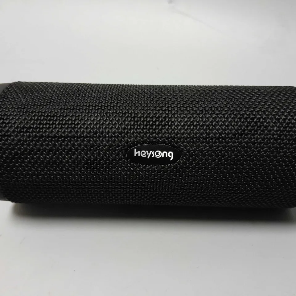 HEYSONG REVERB SPEAKER