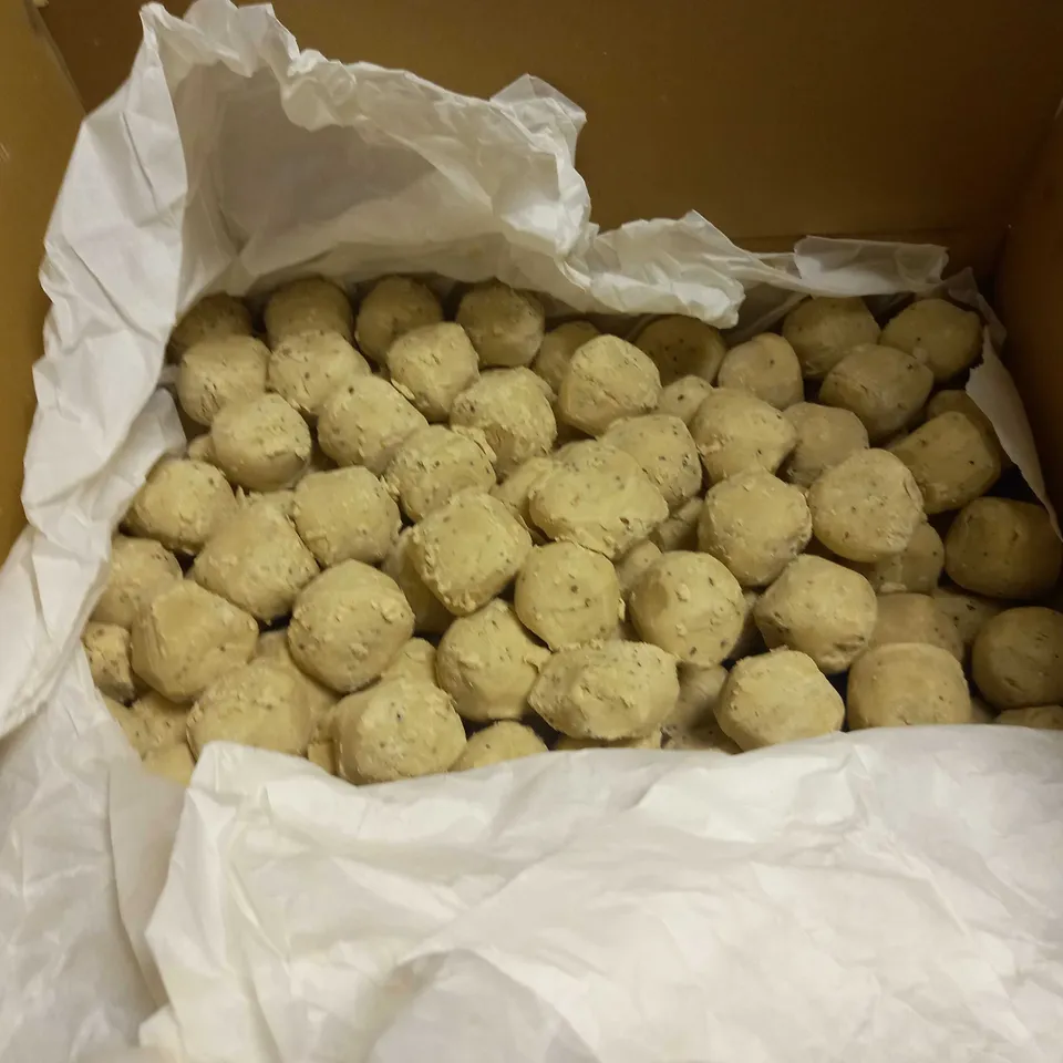 SUET TO GO SUET BALLS WITH INSECTS 