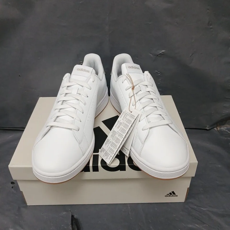 BOXED PAIR OF ADIDAS ADVANTAGE TRAINERS IN WHITE - 10 