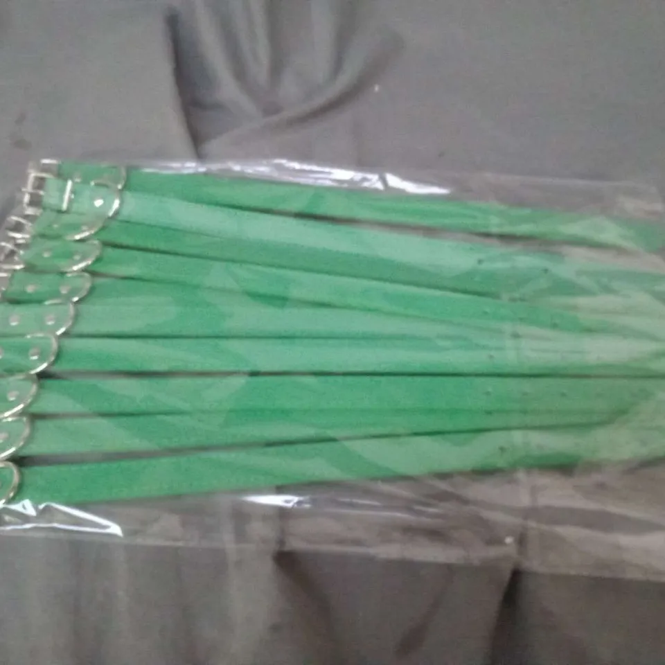 APPROXIMATELY 400 GREEN DOG LEADS