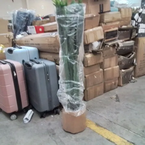 BOXED 228.8CM FAUX PLANT IN POT LINER (1 BOX)