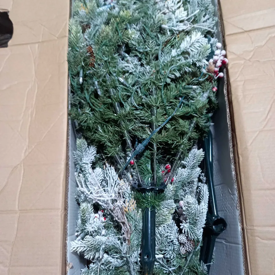 BOXED ALISON CORK SUGAR SPRUCE CHRISTMAS TREE - 6FT DUSTED - COLLECTION ONLY