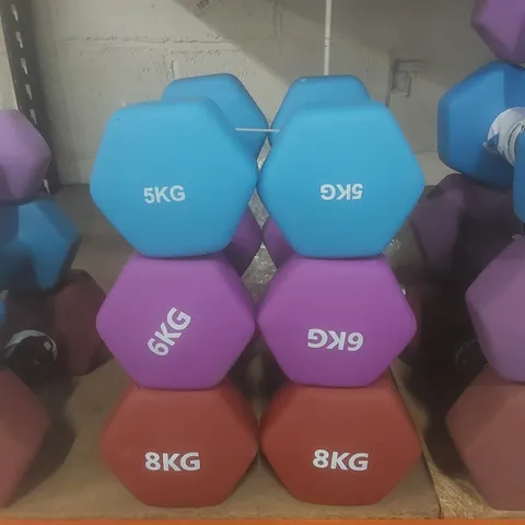 SET OF 6 KAYMAN DUMBBELLS - COLOURS VARY // 2 X 5KG, 6KG, 8KG