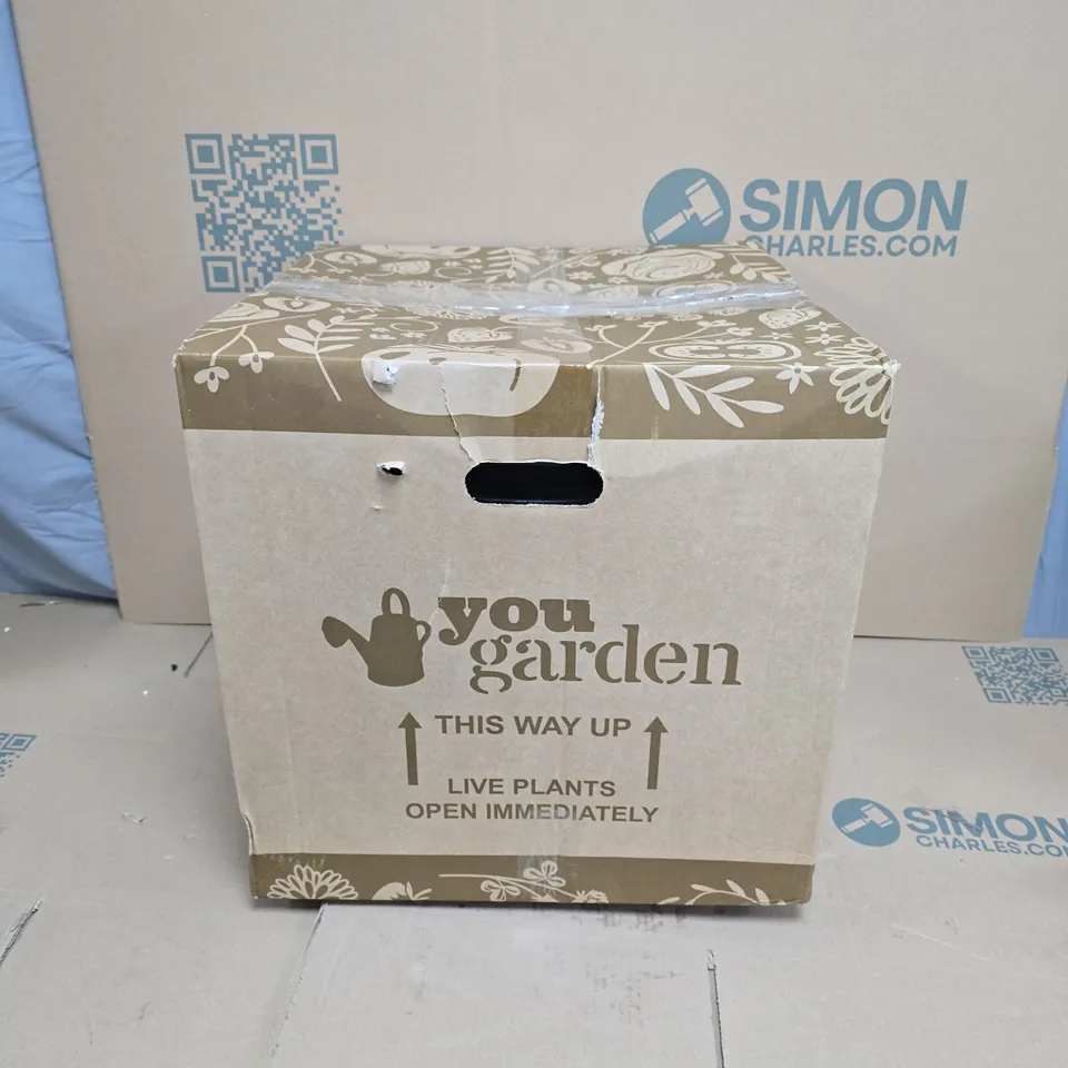 BOXED PACK OF 4 HEAVY DUTY 30L PLANTER POTS WITH HANDLES 