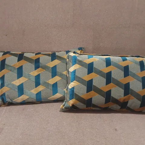 BAGGED PAIR OF PAOLETTI CUSHIONS 