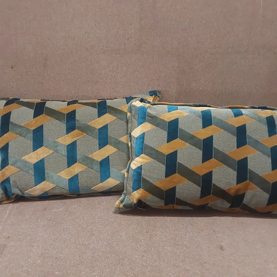 BAGGED PAIR OF PAOLETTI CUSHIONS 
