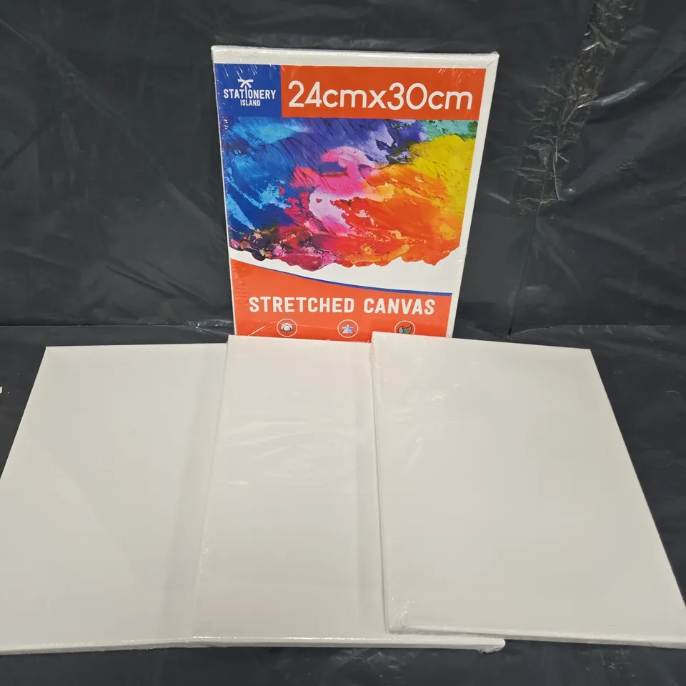 4 X SEALED STATIONARY ISLAND STRETCHED CANVASES - 24X30CM
