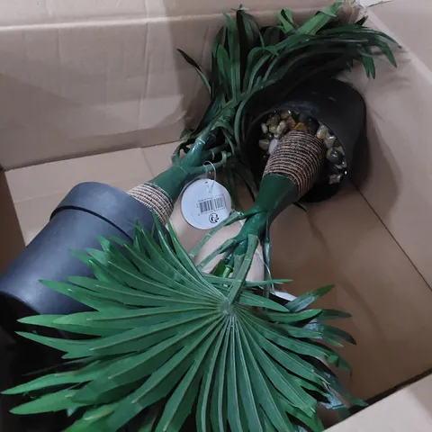 BOXED PALM PAINT IN POT