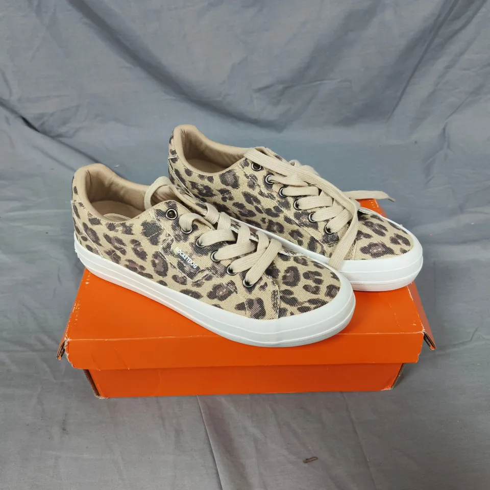 LEOPARD PRINT CANVAS SNEAKERS – WOMEN'S UK SIZE 5