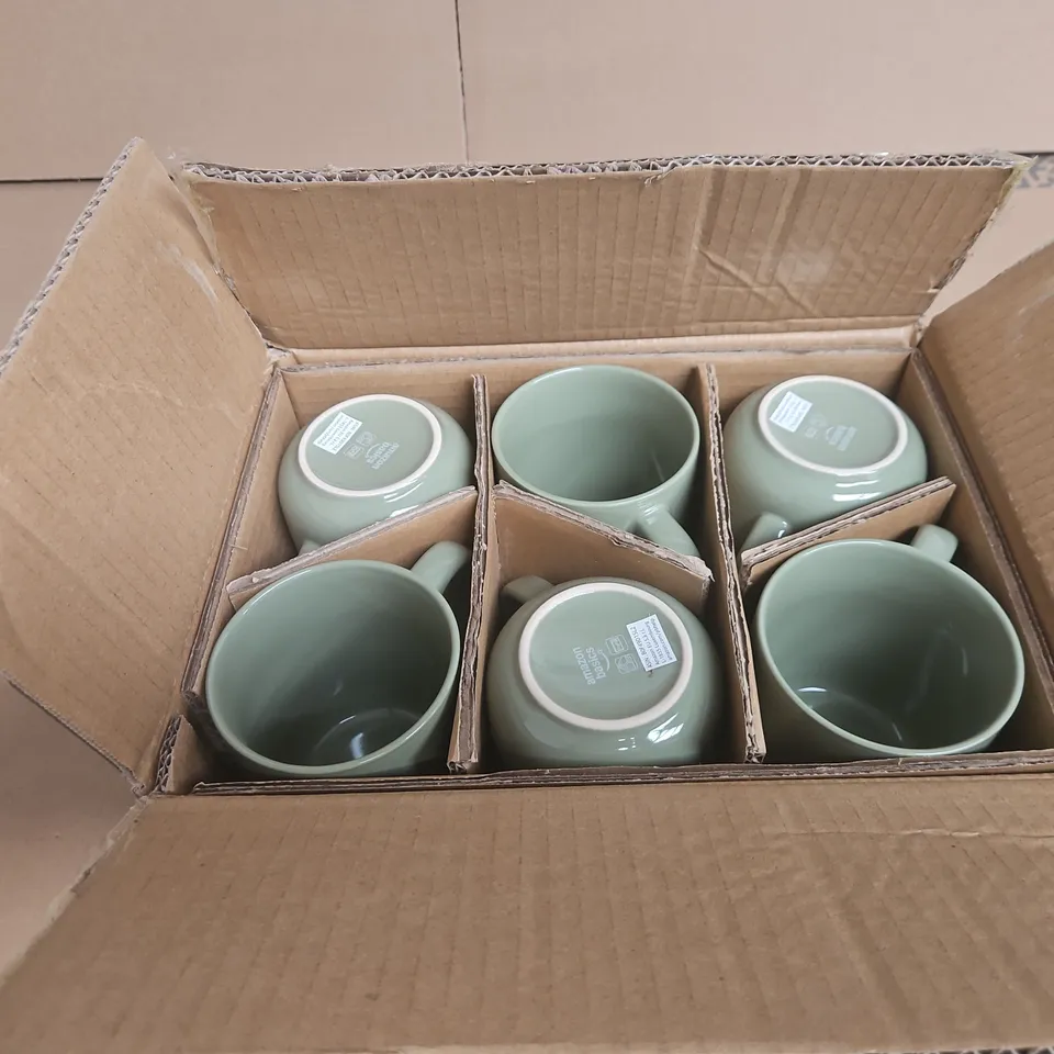 SET OF 6 AMAZON BASICS GREEN MUGS BOXED