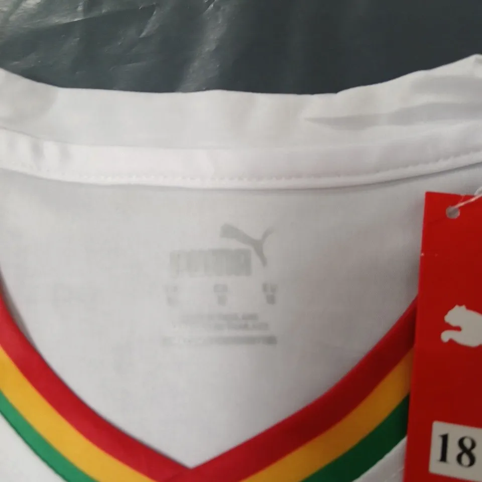 GHANA FOOTBALL ASSOCIATION JERSEY – PUMA, WHITE WITH RAINBOW TRIM, UK KIDS 18