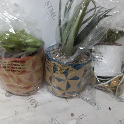 BOXED SET OF 3 FAUX SUCCULENT IN CERAMIC MOSAIC POTS