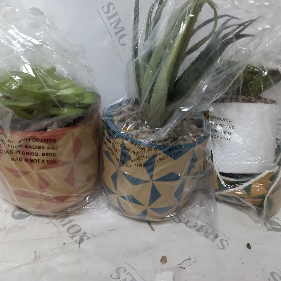 BOXED SET OF 3 FAUX SUCCULENT IN CERAMIC MOSAIC POTS 
