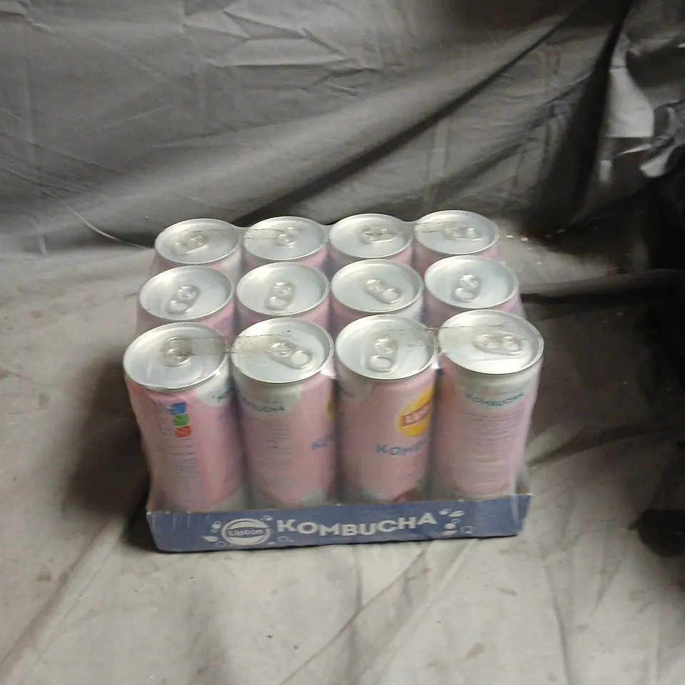LIPTON KOMBUCHA RASPBERRY 250ML – PACK OF 12 CANS