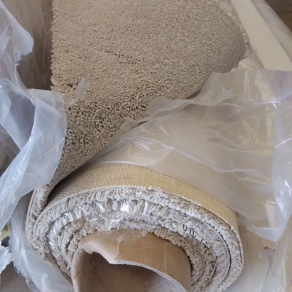 ROLL OF QUALITY FIRST IMPRESSIONS PATIENT CARPET // SIZE: APPROXIMATELY 5 X 2.4m