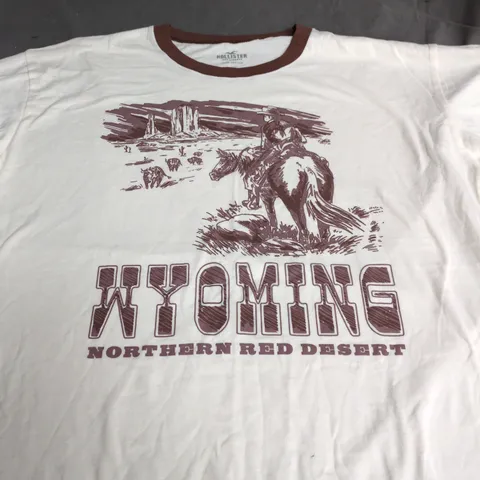 HOLLISTER WYOMING NORTHERN RED DESERT T-SHIRT - SIZE S