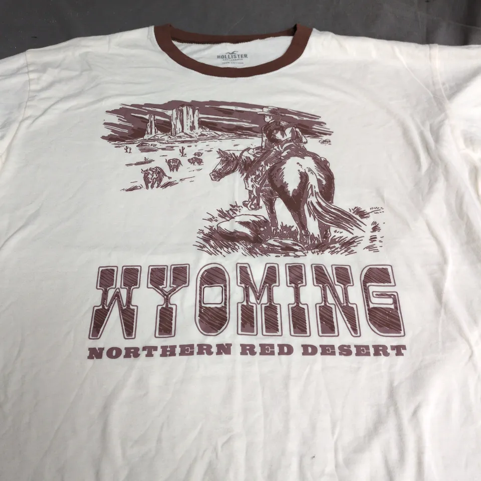 HOLLISTER WYOMING NORTHERN RED DESERT T-SHIRT - SIZE S
