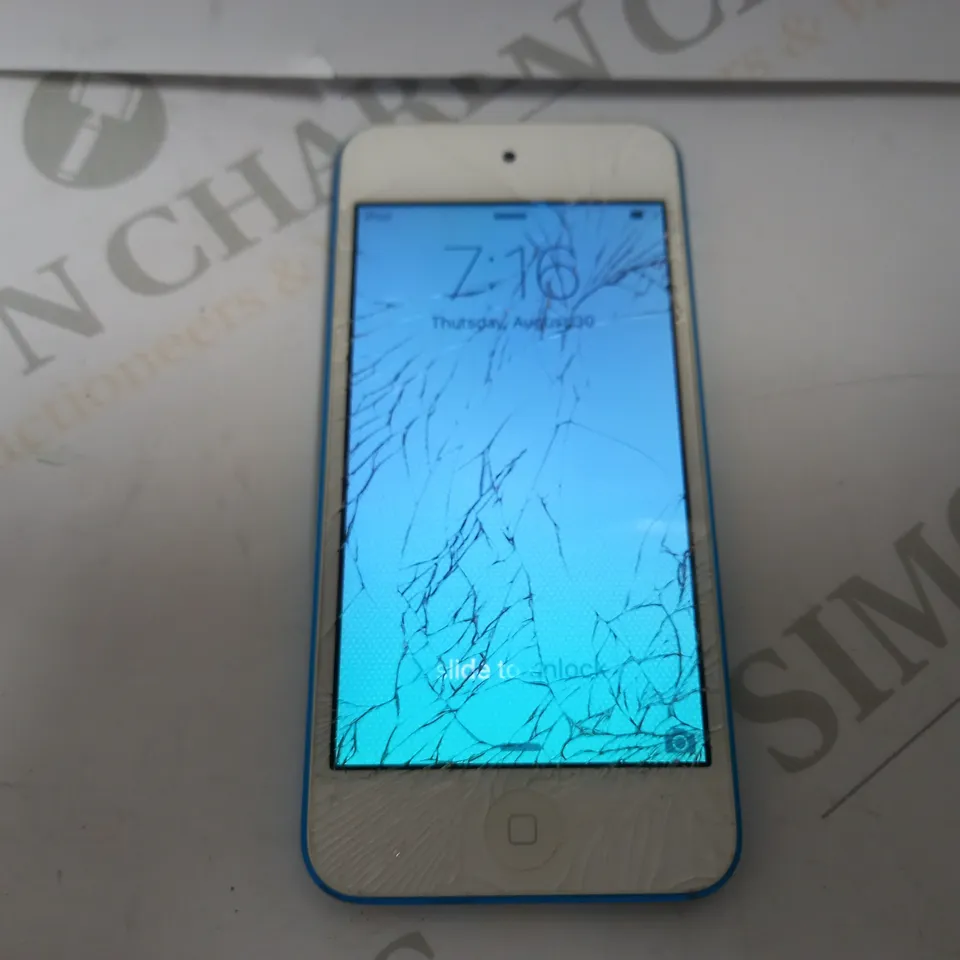 IPOD TOUCH (5TH GENERATION)