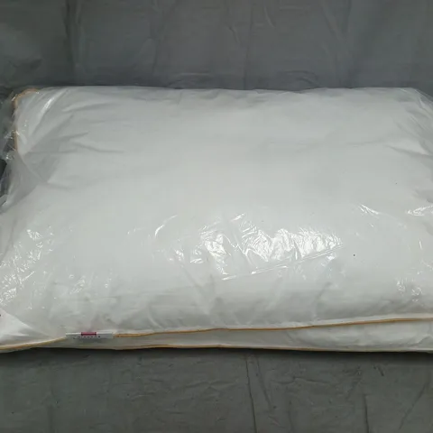 DICKENS GOOSE FEATHER & DOWN PILLOWS (PAIR)
