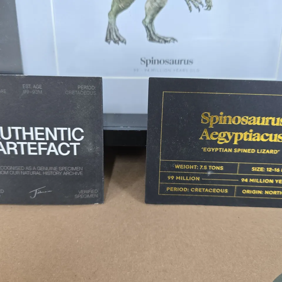 FRAMED SPINOSAURUS ILLUSTRATION WITH MOUNTED FOSSIL TOOTH – AUTHENTIC ARTEFACT WITH CERTIFICATE OF AUTHENTICITY - COLLECTION ONLY 