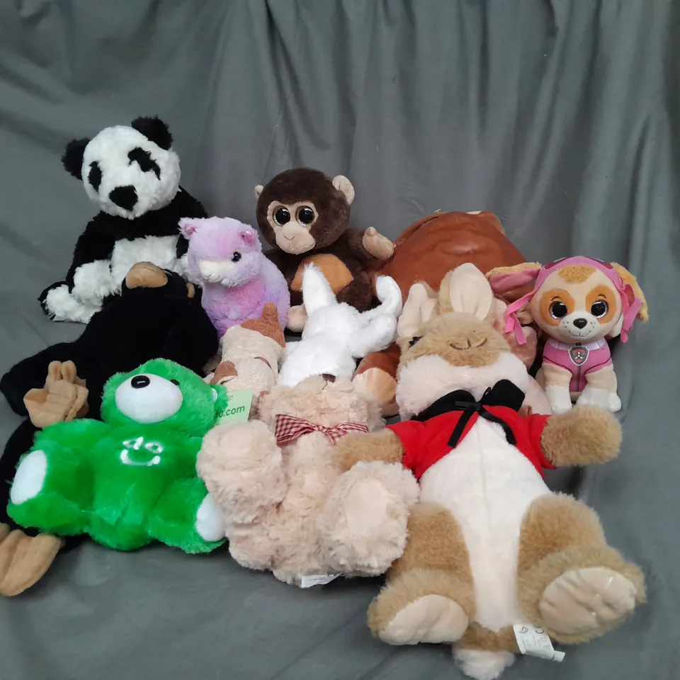 BOX OF ASSORTED PLUSH SOFT TEDDIES