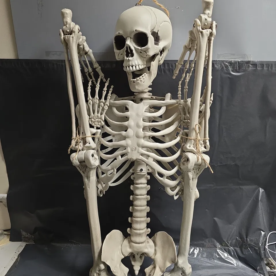 LIFE-SIZE PLASTIC HALLOWEEN SKELETON PROP