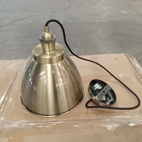 BOXED ZIEMER 1-LIGHT PENDANT 