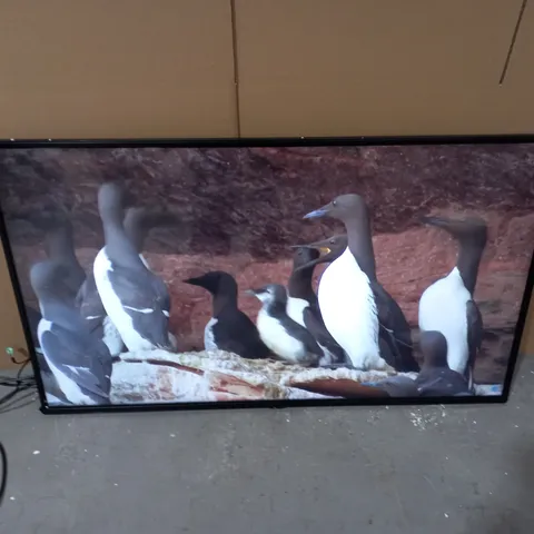 LG 49'' SERIES DISPLAY MONITOR - MODEL 49SM5K-B - COLLECTION ONLY 