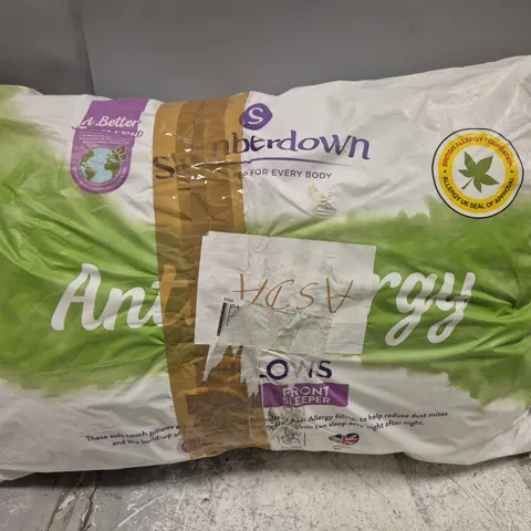 SLUMBERDOWN ANTI ALLERGY PILLOW SET