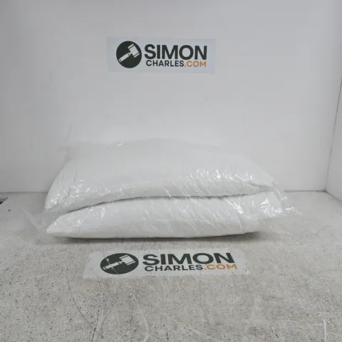 SET OF 2 PILLOWS