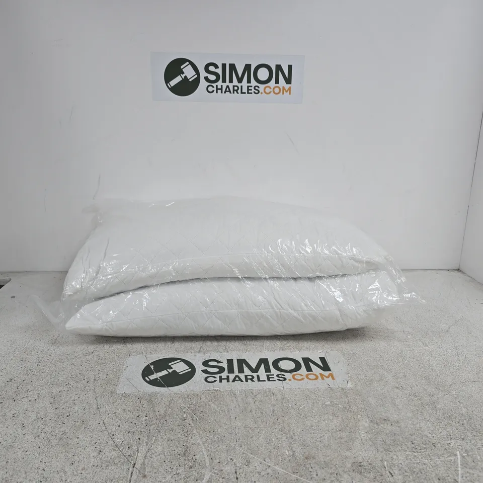 SET OF 2 PILLOWS