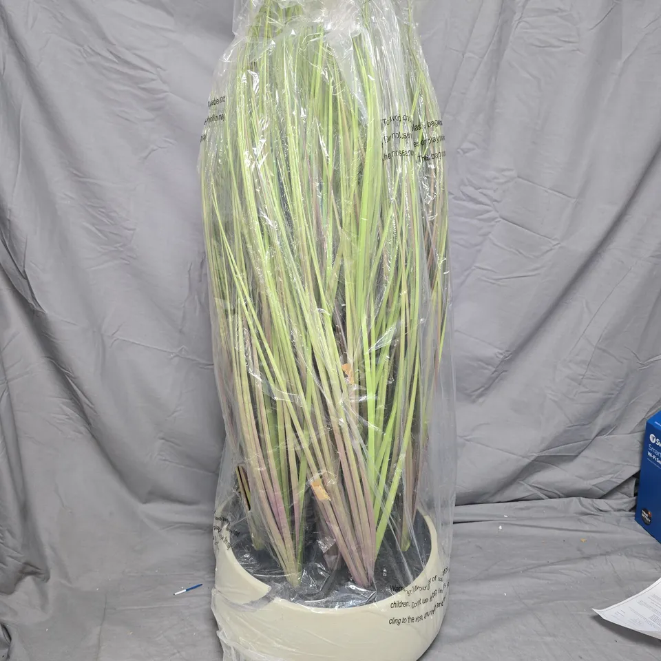 K BY KELLY HOPPEN INDOOR OUTDOOR PRE-LIT LOMANDRA GRASS W/CEMENT POT 