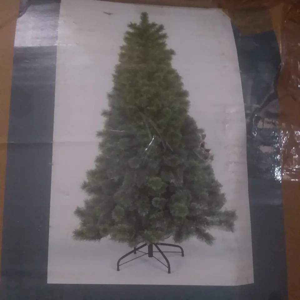 BOXED 210CM ARCADIA FULL CASHMERE CHRISTMAS TREE