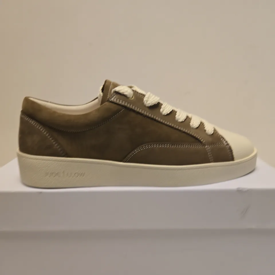 BOXED PAIR OF JUDE LLOW NICO BROWN & WHITE SNEAKER – UK 8