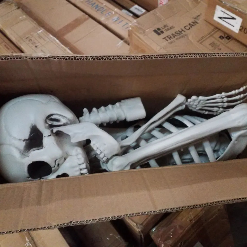 BOXED HALLOWEEN SKELETON DECORATION