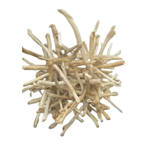 BOXED DRIFTWOOD LAMP