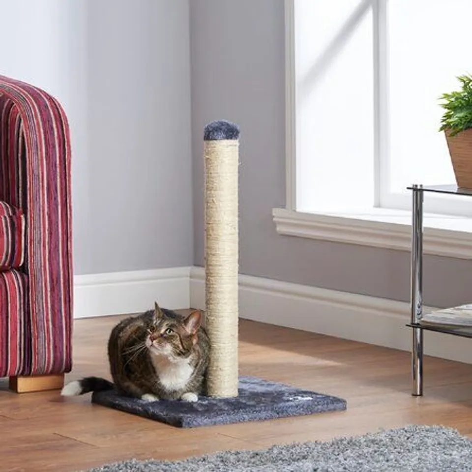 GREY CAT SCRATCHING POST