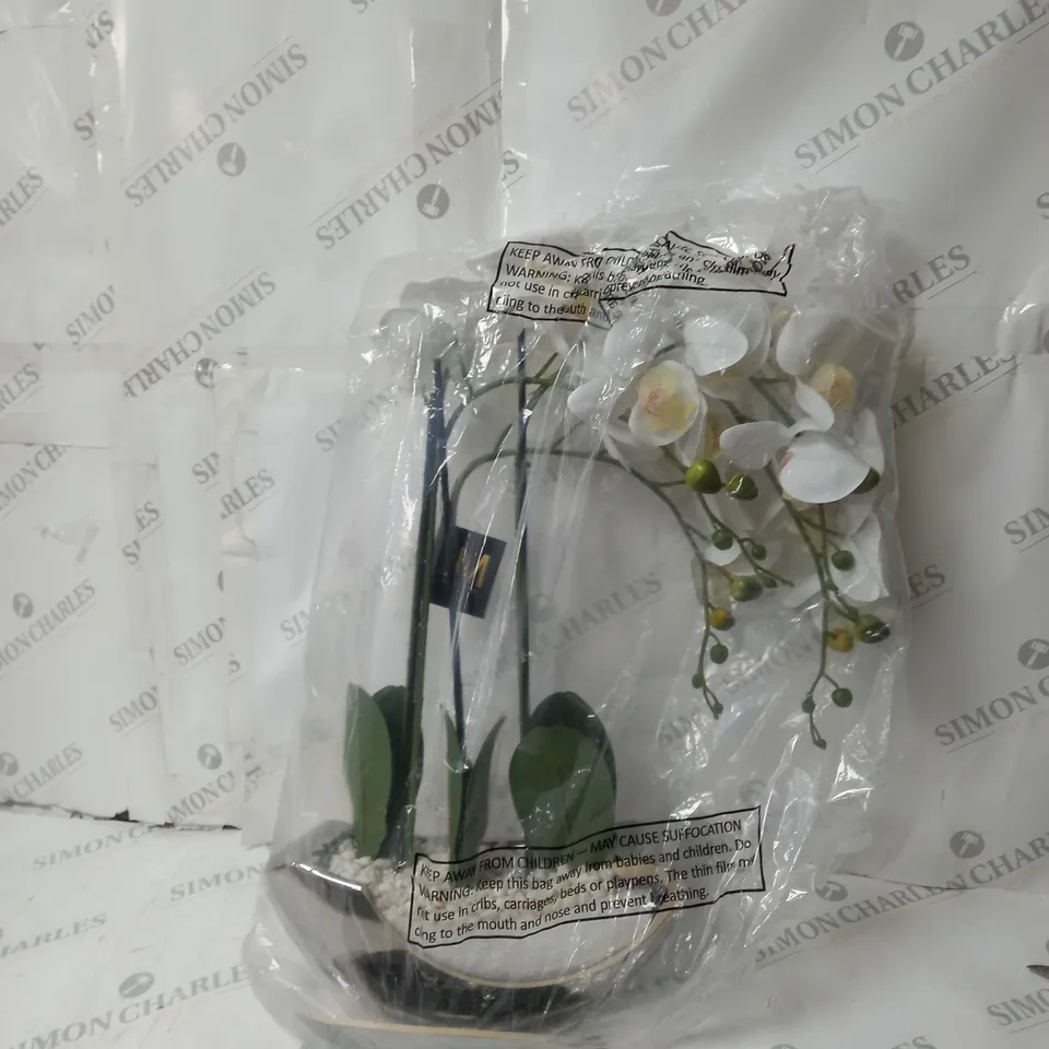 BOXED JULIEN MACDONALD ARTIFICIAL FLOWER AND POT 