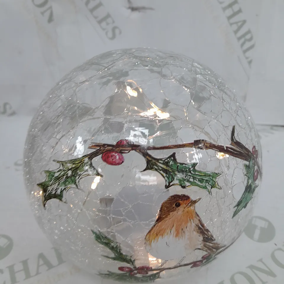 SEASONAL GLASS GLOBE DECORATION WITH LED LIGHTS