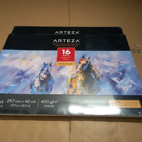 LOT OF 2 ARTEZA 16 SHEET A3 ACRYLIC PADS