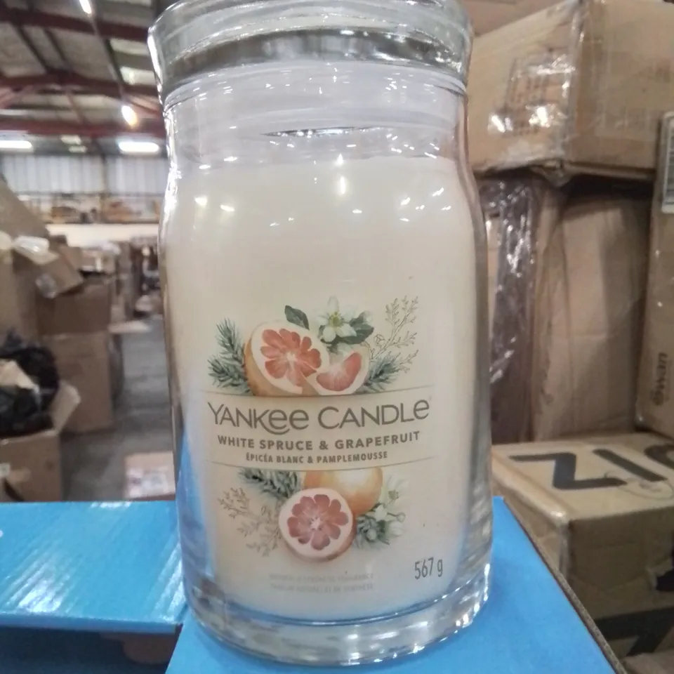 BOXED YANKEE CANDLE -WHITE SPRUCE AND GRAPEFRUIT-