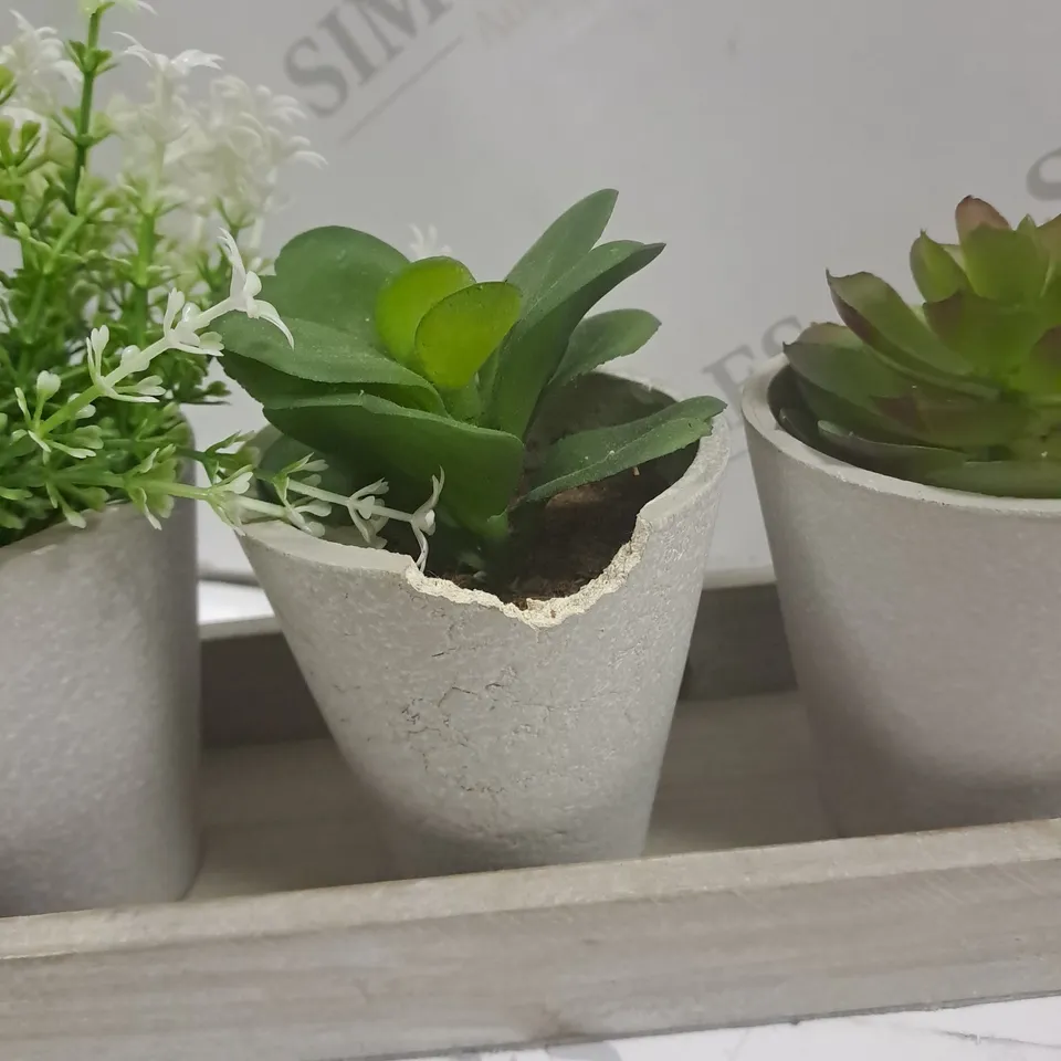 SYNTHETIC PLANTS IN CLAY POT WITH WOODEN TRAY