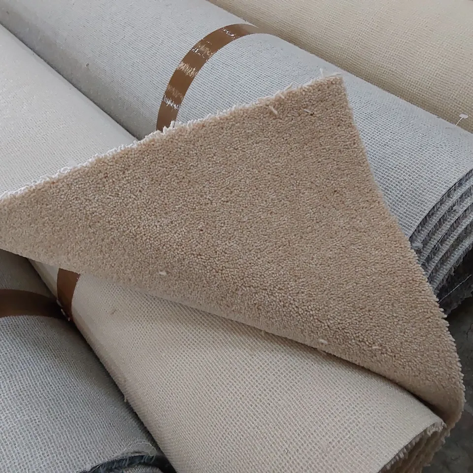 ROLL OF QUALITY DIMENSIONS DIM PLAINS CARPET // SIZE: APPROX. 5 X 2.56m