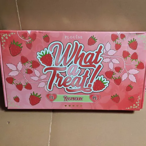 P LOUISE WHAT A TREAT! RASPBERRY SURPRISE COSMETICS GIFT SET
