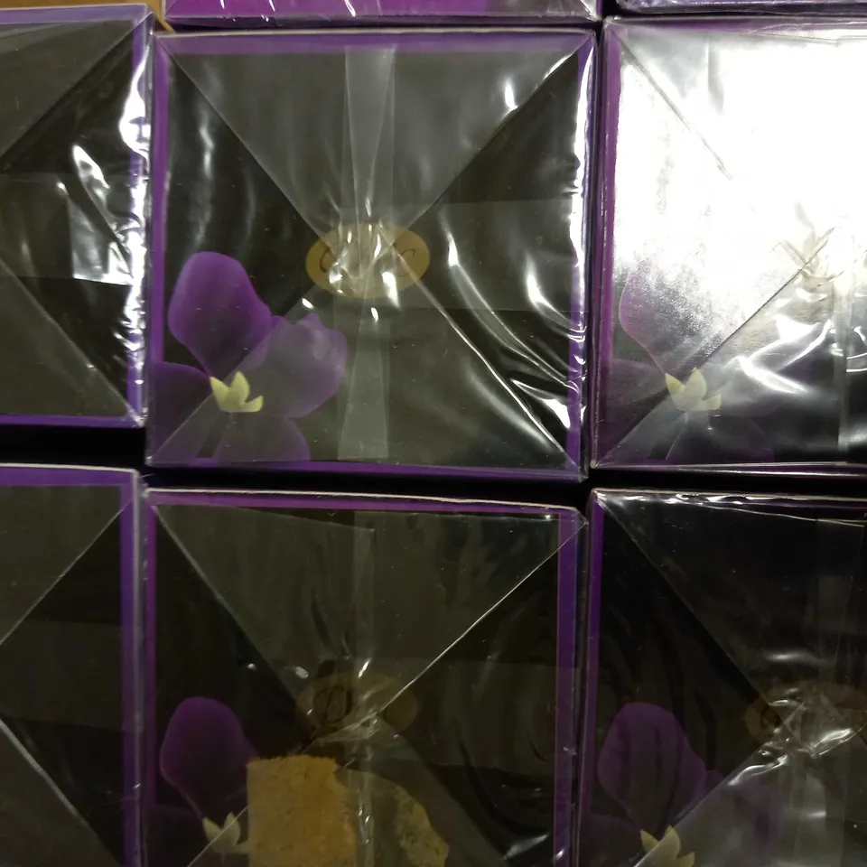 LOT OF 10 DFC VIOLET EDP 100ML